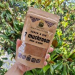 Μείγμα 7 Θεραπευτικών Μανιταριών '7 Mushroom Blend' (100γρ) Green Bay